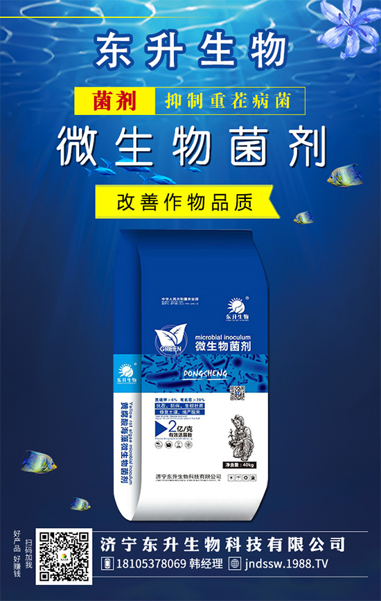 白掌的花語是什么？水培白掌的的養(yǎng)護(hù)方法！