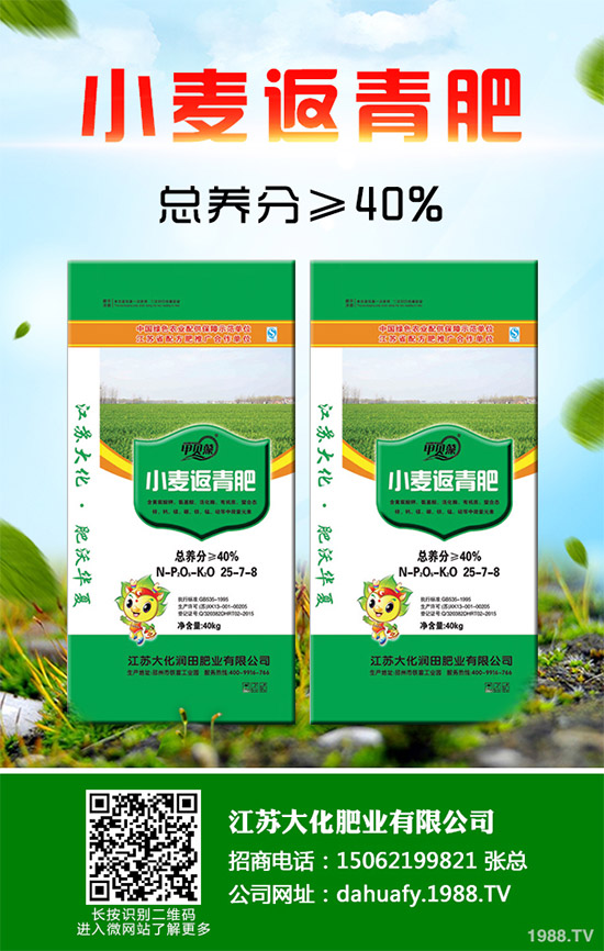 ����(n��i)����һ�@�r(ji��)�������Ո�(b��o)