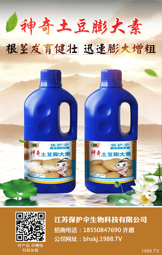 ����(n��i)���؃r���Ј������܈�