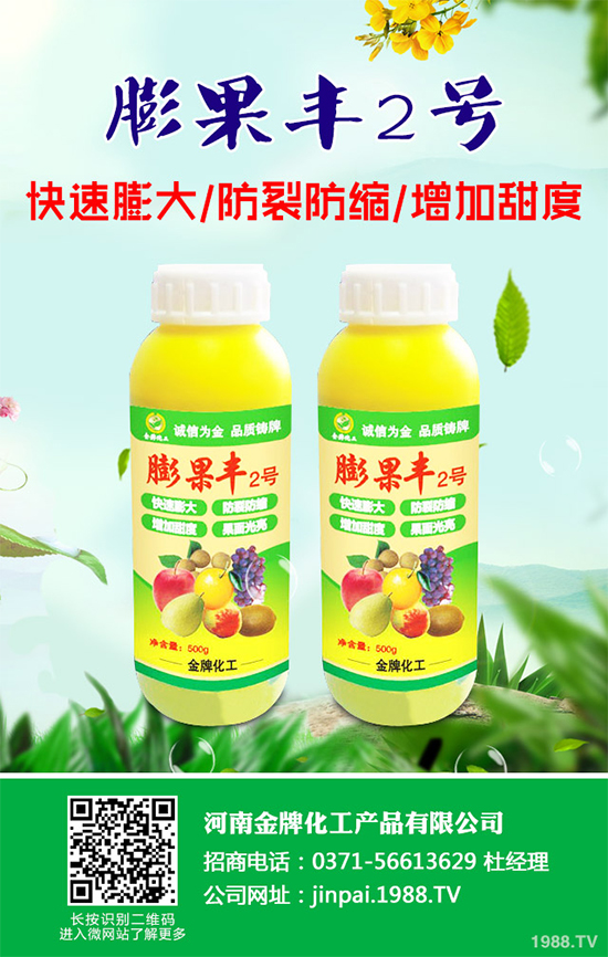 黑櫻桃該如何栽培?怎樣管理?黑櫻桃高產(chǎn)栽培管理技術(shù)