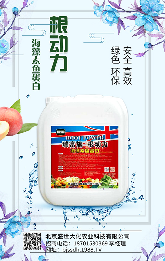 荔枝生長環(huán)境要求，荔枝苗嫁接方法及施肥原則！