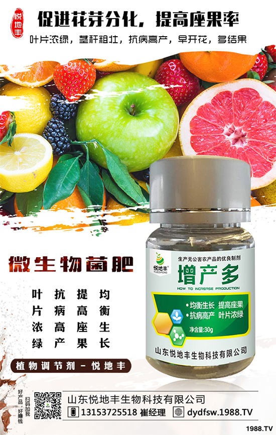 冰菜該如何栽培?怎樣種植能高產(chǎn)?冰菜的高產(chǎn)栽培技術