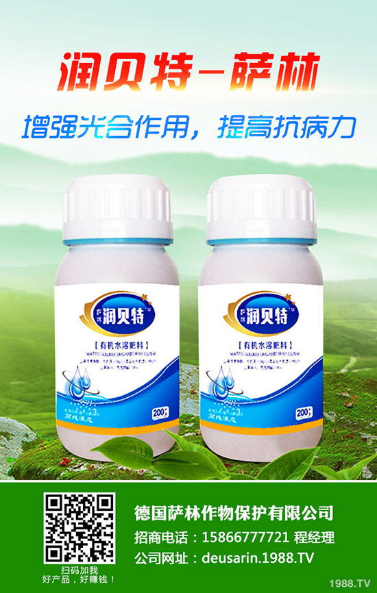 ��ۘ���ô�B(y��ng)����ۘ���B(y��ng)ֳ������ע�����(xi��ng)