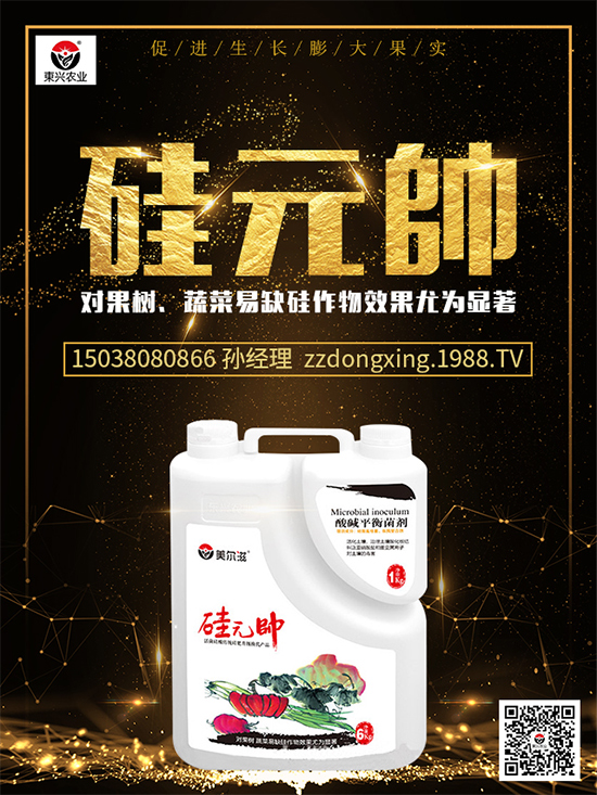 ⛷ʃr(ji��)��������?q��ng)?b��o)