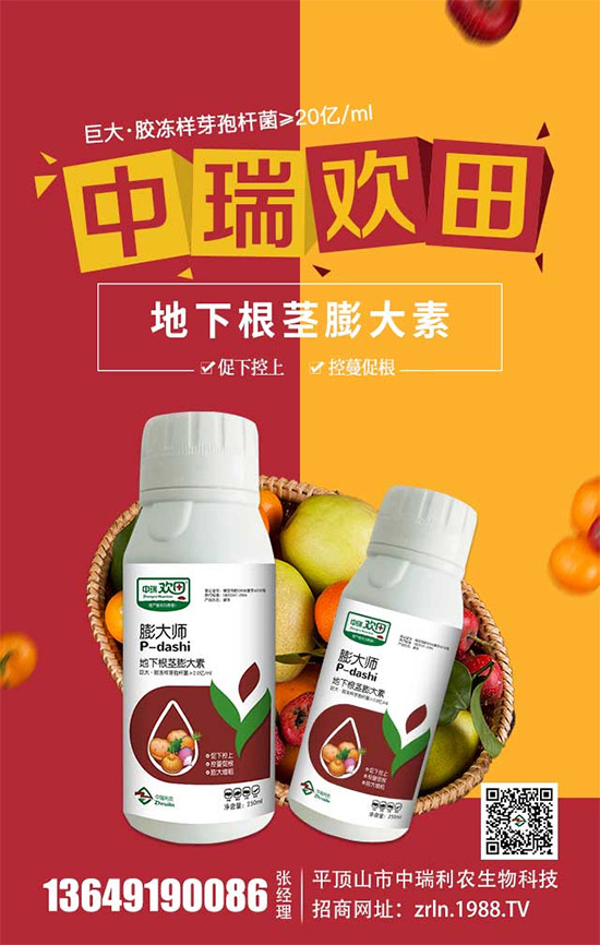 ����������(j��)���������r(n��ng)�ٺ����r(n��ng)�����̾W(w��ng)�������W(w��ng)�j(lu��)����·��