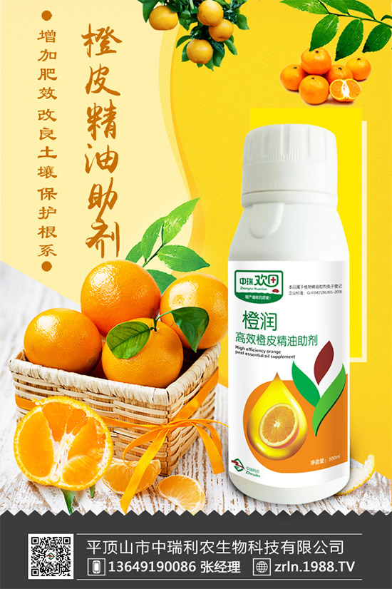 ����������(j��)���������r(n��ng)�ٺ����r(n��ng)�����̾W(w��ng)�������W(w��ng)�j(lu��)����·��