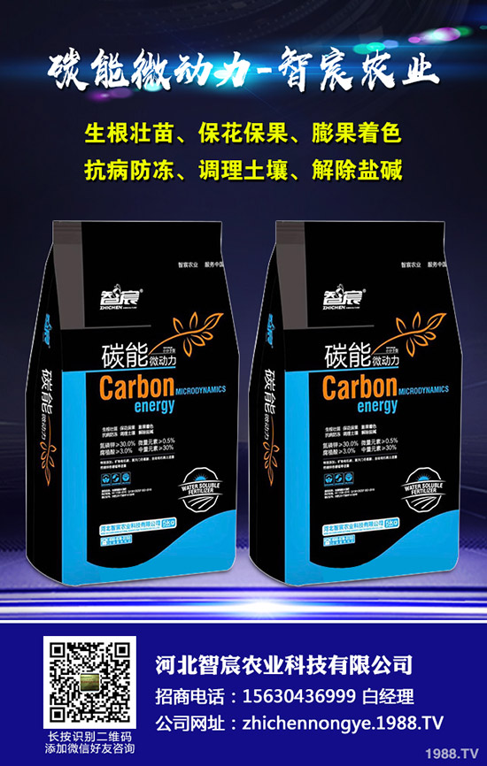 西瓜的需肥特性，西瓜施肥四禁忌！