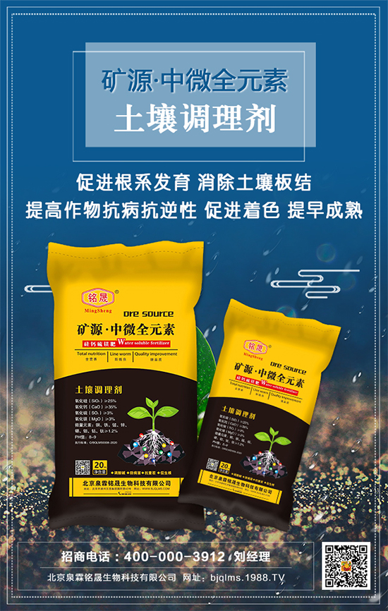 黑芝麻什么時(shí)間種植？黑芝麻栽培技術(shù)要點(diǎn)！