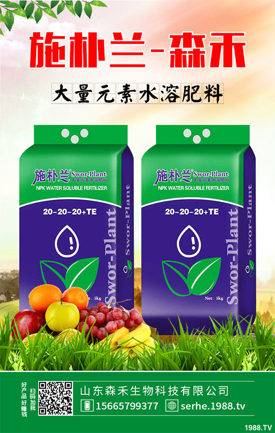 馬鈴薯價(jià)格不斷升高,能否繼續(xù)堅(jiān)挺?2020年馬鈴薯種植前景分析