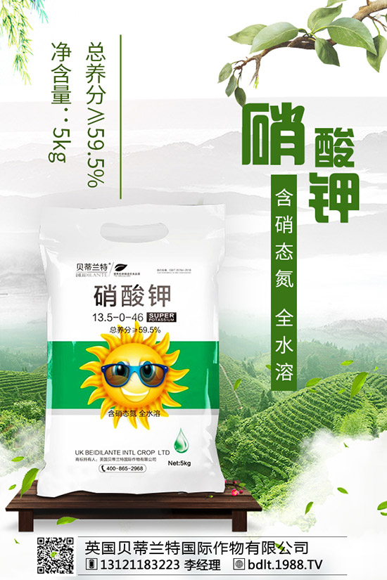 番茄空心果是怎么回事？如何做可以避免番茄空心？