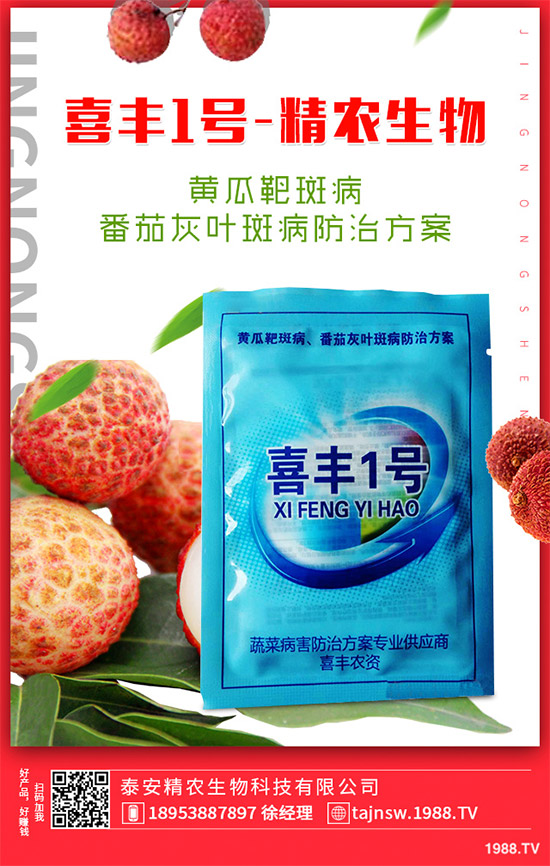 廣金錢草種植需要哪些條件？廣金錢草扦插育苗要點(diǎn)！