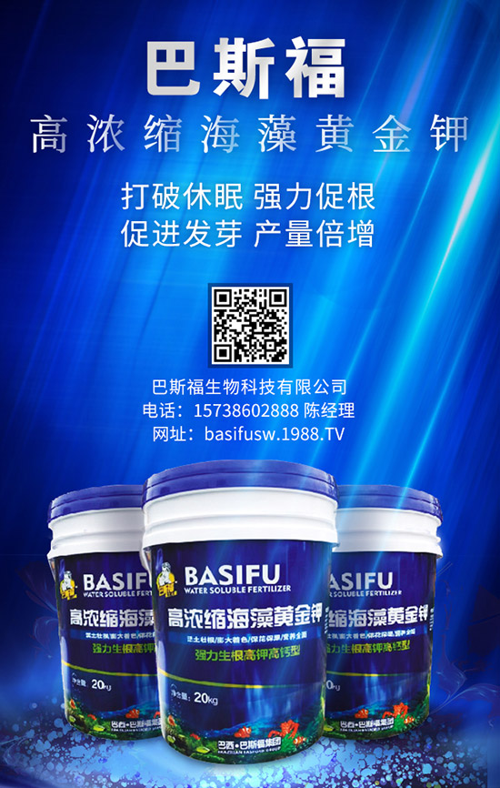 玉米施肥的更佳時間是啥時候？ 咋樣施效果好？