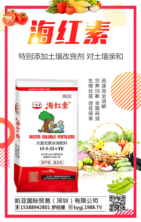 金錢草的產(chǎn)地分布在哪？金錢草種植注意事項(xiàng)！