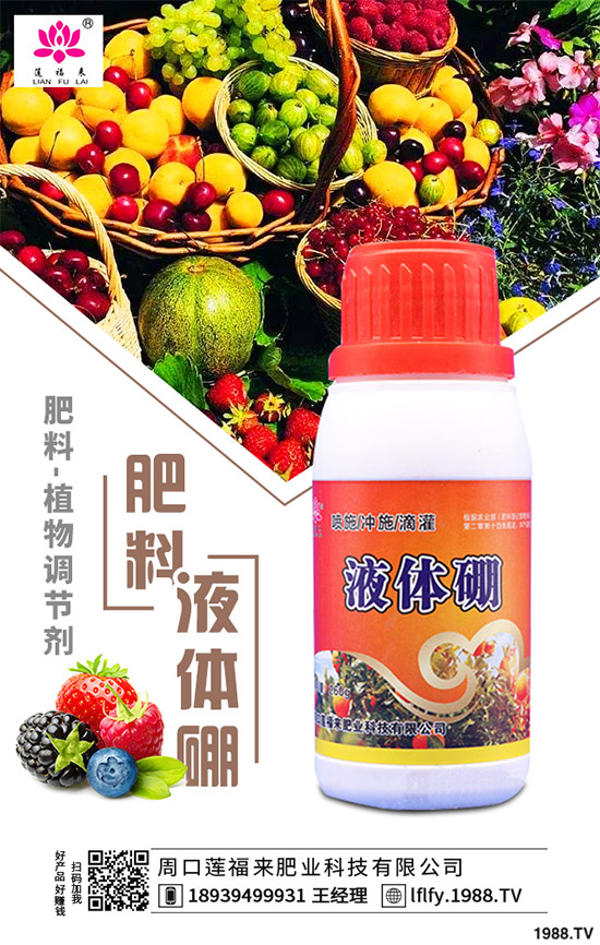 決明子有哪些神奇功效?種植決明子能掙錢嗎?2020決明子種植前景分析