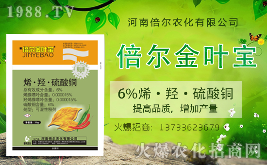 ���ϱ����m(x��)�s1988.TV���y�ֹ���(chu��ng)���x�ͣ�