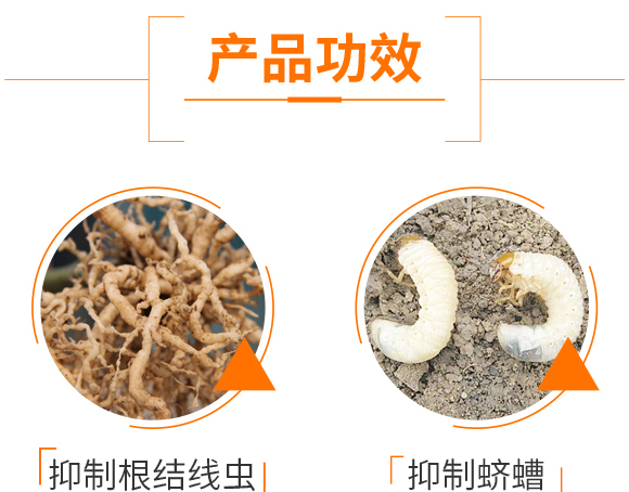 ΢�����������ľù-ֹ���b-�Z��_04