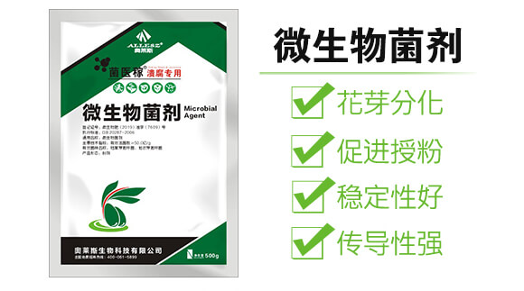 潰腐專用微生物菌劑-菌醫(yī)稼-奧萊斯_02