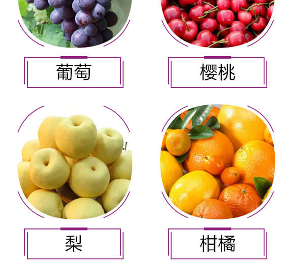 硫酸鉀型復(fù)合肥料12-8-28-金四元膨果肥-中農(nóng)化_07