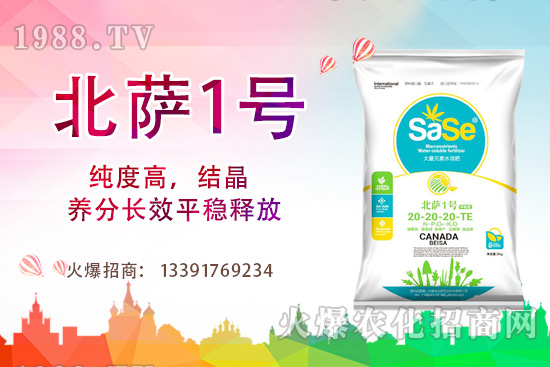 山茶花該怎么養(yǎng)，山茶花養(yǎng)殖方法和注意事項！