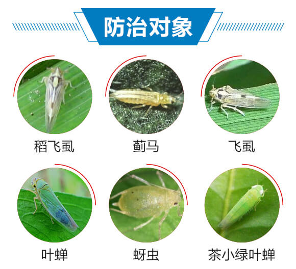 6%(li��n)�ա���x��-������-��(r��n)������_03