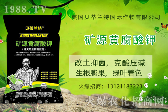 哈密瓜怎么種？哈密瓜種植應(yīng)該注意哪些事項(xiàng)？