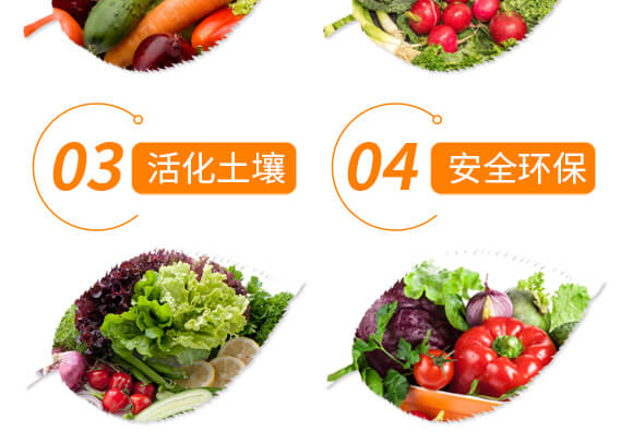 根結(jié)線蟲(chóng)高效處理劑-益佐益佑_06