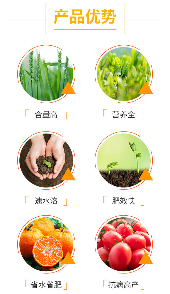 硅鈣鎂中微量元素肥-施蓓森-沃森特_03