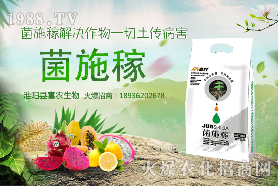 2020年農(nóng)村種野菜賺錢(qián)嗎？選擇哪些野菜品種效益高？建議收藏！