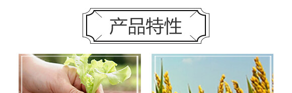 黃腐酸生物有機肥料-小黑力-農佳一_05