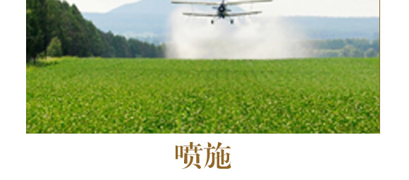 中藥材三七當(dāng)歸專(zhuān)用-含腐植酸水溶肥-北美農(nóng)大_12