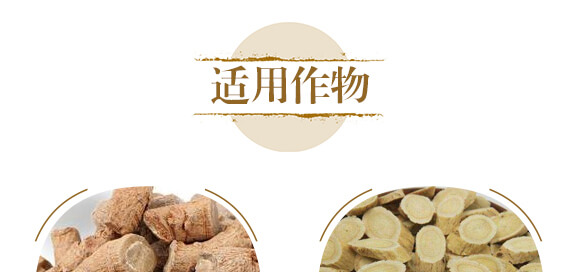 中藥材三七當(dāng)歸專(zhuān)用-含腐植酸水溶肥-北美農(nóng)大_08