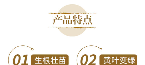 中藥材三七當(dāng)歸專(zhuān)用-含腐植酸水溶肥-北美農(nóng)大_05