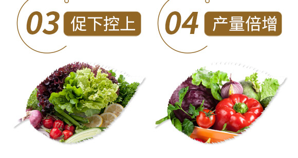 中藥材三七當(dāng)歸專(zhuān)用-含腐植酸水溶肥-北美農(nóng)大_07