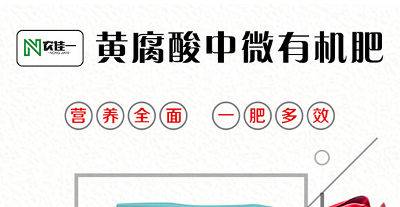 黃腐酸中微有機肥料-小黑力-農(nóng)佳一_01