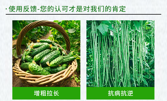 黃瓜、豆角專(zhuān)用含氨基酸水溶肥料-伊力奇-科德寶2