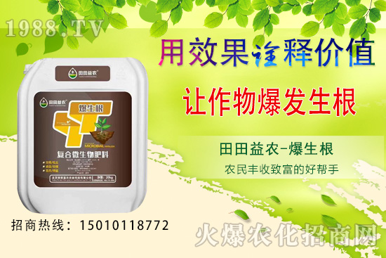 六月可以種植的蔬菜有哪些？六月種蔬菜管理要點！