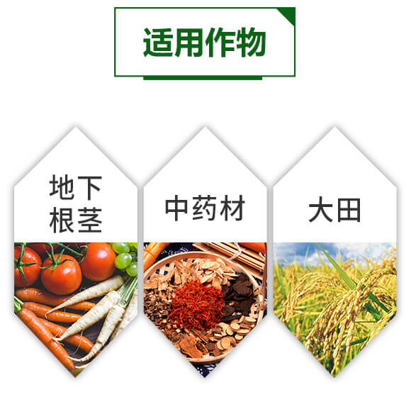 超能有機(jī)質(zhì)膨果素-脹滿地-天葉生物_05