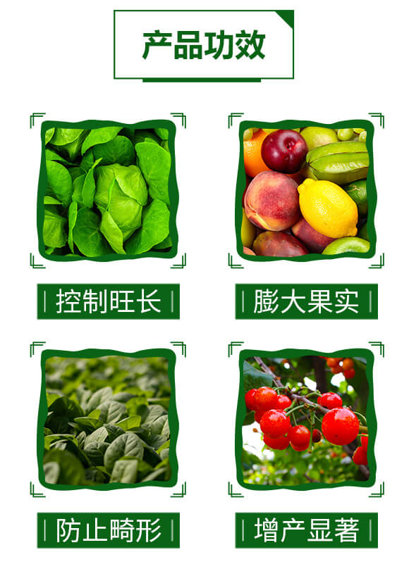 超能有機(jī)質(zhì)膨果素-脹滿地-天葉生物_04