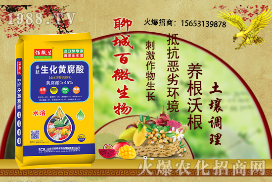 玉米在什么時期追肥,用什么肥料?玉米追肥有什么注意事項?