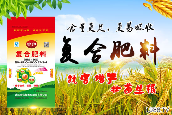 血橙有哪些營(yíng)養(yǎng)價(jià)值？吃血橙有什么好處？