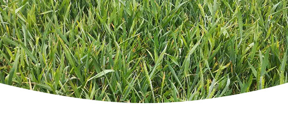 �r��ڈ@���＼�g���޹�˾_16