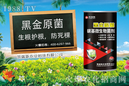 玉米什么時候成熟,玉米的收獲時期,玉米的營養(yǎng)價值!