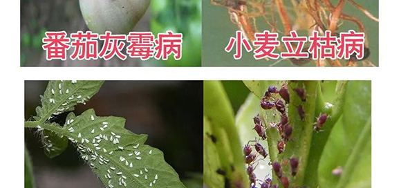 �����v�S�r(n��ng)�I(y��)�Ƽ����޹�˾2_12