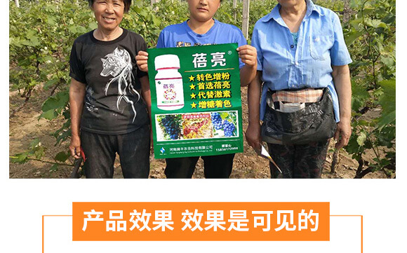 河南騰豐農(nóng)業(yè)科技有限公司_08