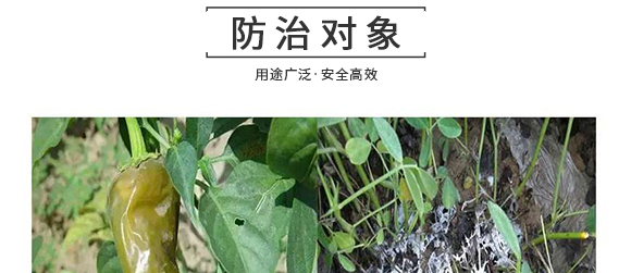 �����v�S�r(n��ng)�I(y��)�Ƽ����޹�˾2_10