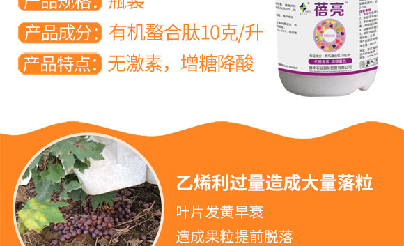 河南騰豐農(nóng)業(yè)科技有限公司_03