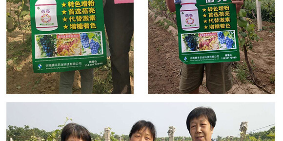 河南騰豐農(nóng)業(yè)科技有限公司_07