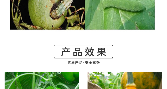 �����v�S�r(n��ng)�I(y��)�Ƽ����޹�˾2_14