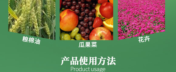 農夫稼園生物技術有限公司2_09