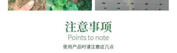 農夫稼園生物技術有限公司2_14